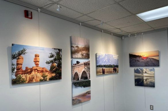 Photo of multiple nature photography pictures hanging up in a museum.