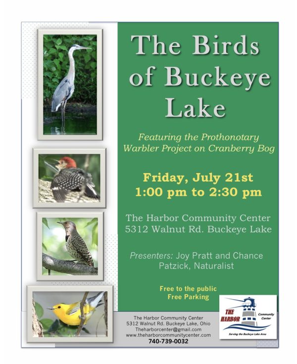 Promotional image for birds of Buckeye Lake.