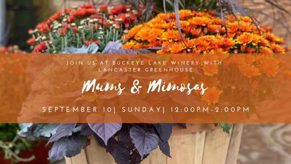 Promotional image for Mums and Mimosas at Buckeye Lake Winery.