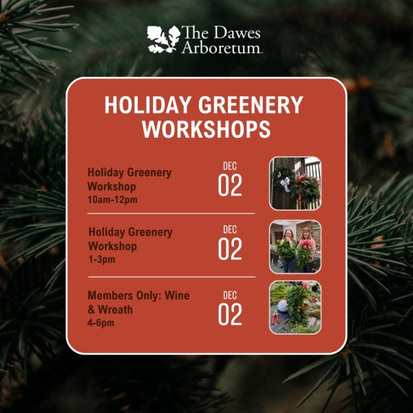 Promotional schedule for the holiday greenery workshops at the Dawes Arboretum.