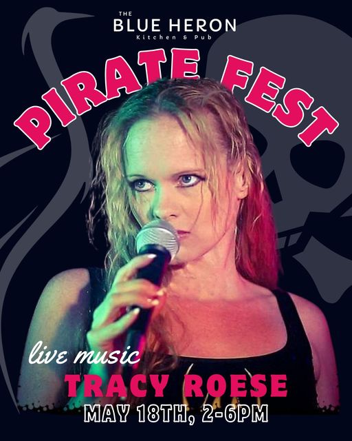 Promotional image for musician Tracy Roese.