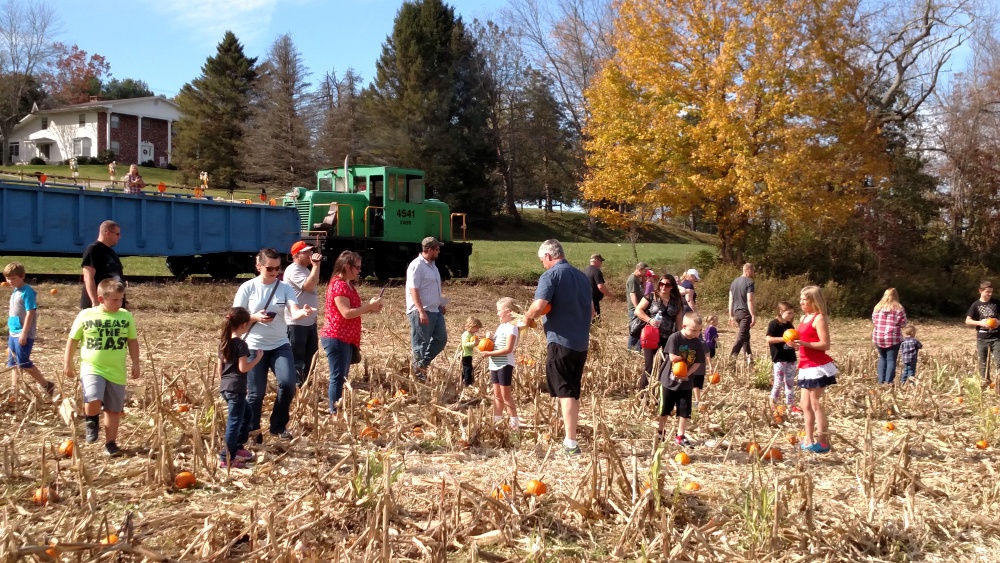 photo of kinds at the pumpkin patch