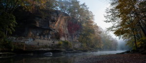 A wooded area with a river running through in the fall. 